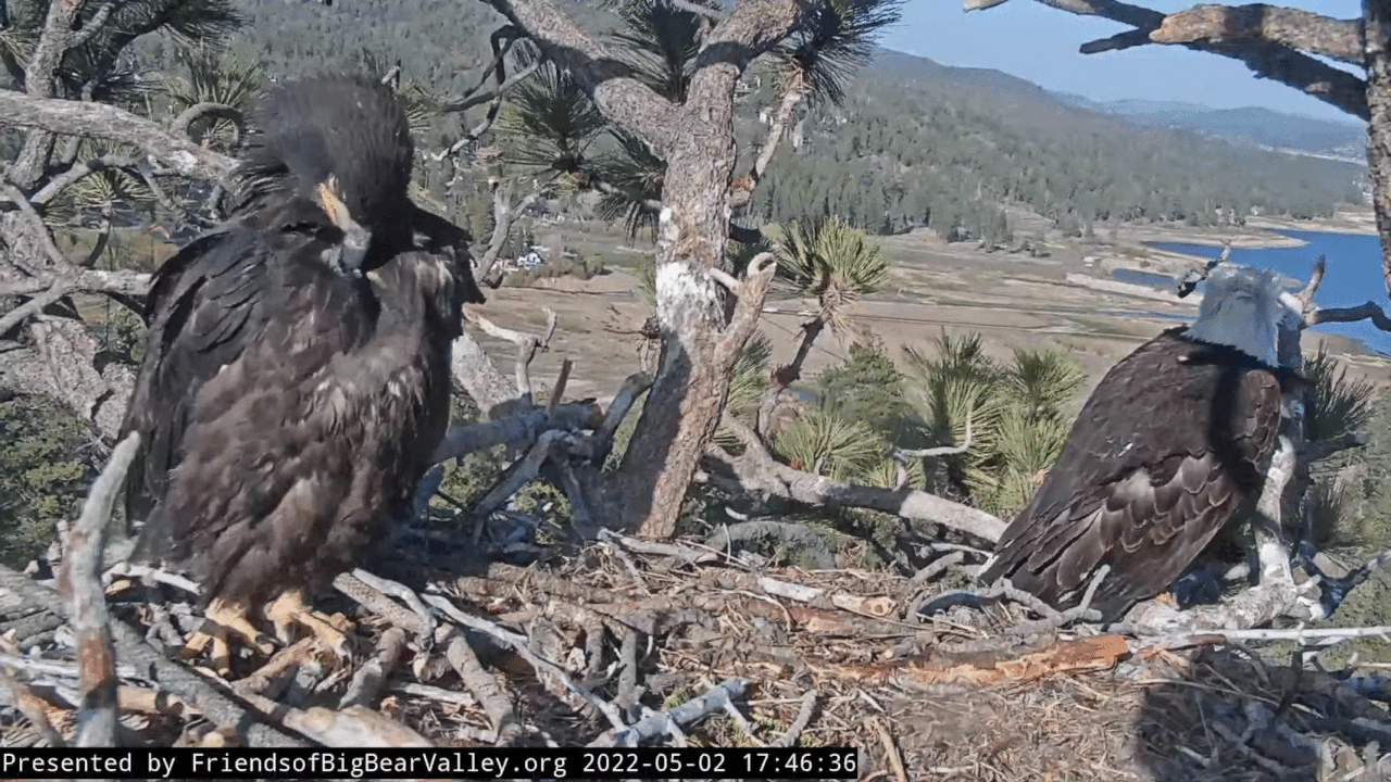 Webp.net-gifmaker (1)