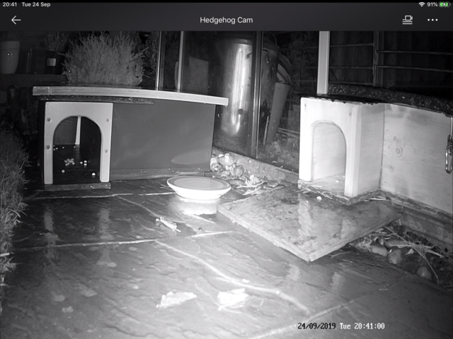 3CE6D33B-D049-4144-A98B-4F2011E9E2C7