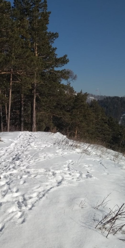 46965492-E785-42FF-A6F5-54DC5E03DB3D