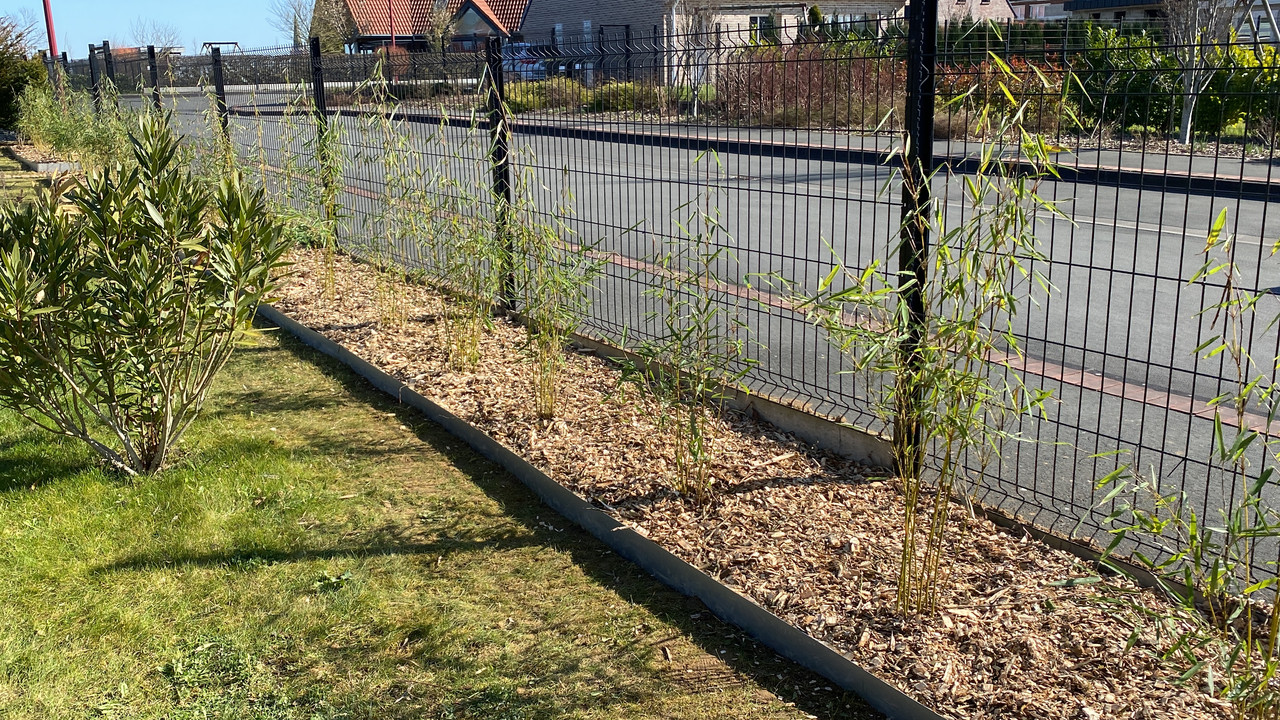 F5540E21-07A6-46D5-976B-8310F0B0F6F7