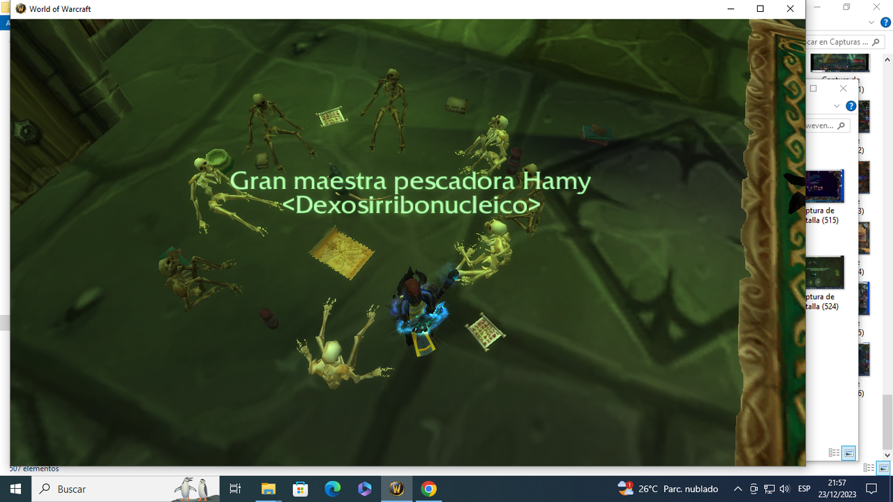 Captura de pantalla (531)