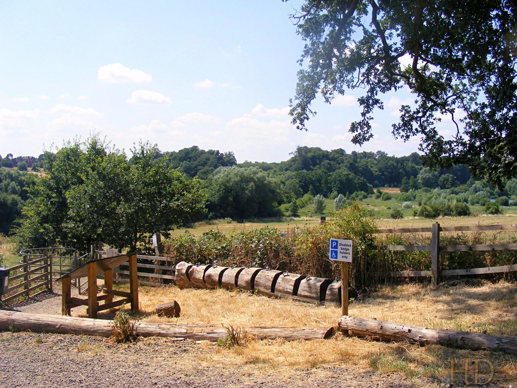 P-Park-Lake-HD.jpg
