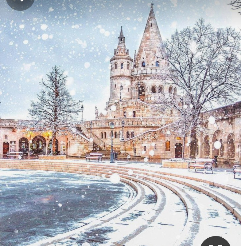 Screenshot_20240116_213626_Pinterest