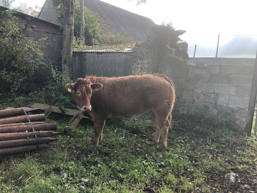 479D9CFA-CC7F-4413-A06C-3A4F130AD57A