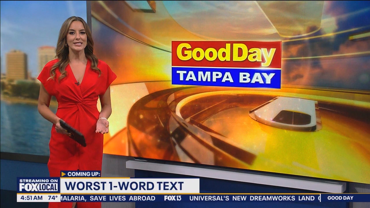 FOX13s Good Day Tampa Bay at 400am_20240614_09000930.ts_snapshot_52.39.200