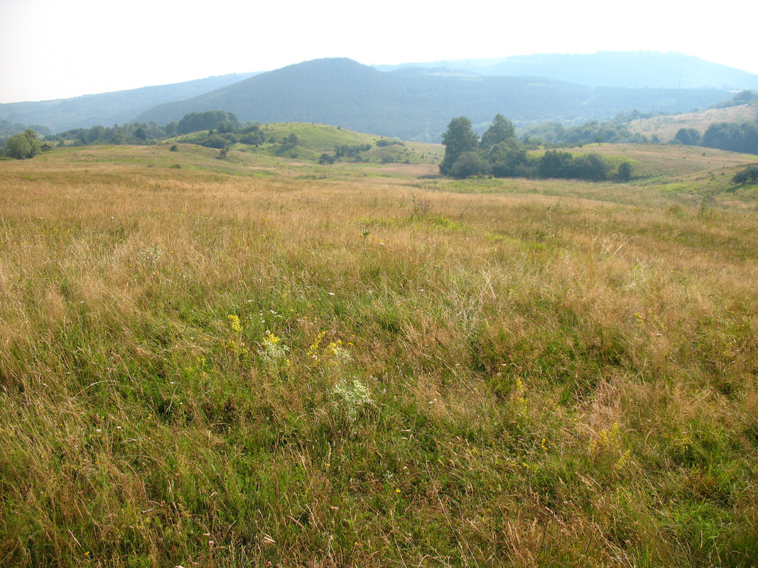 ADP System - Zelezniza 2009 (29)