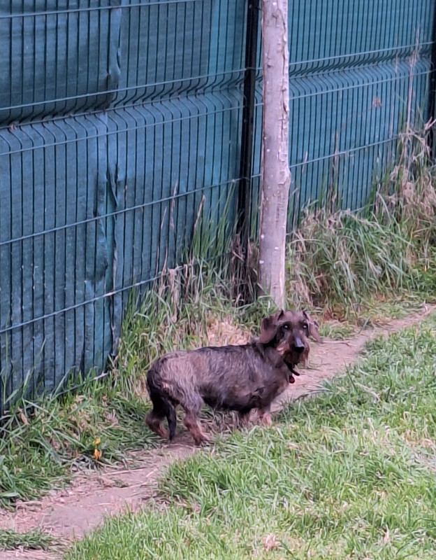 [Image: 20240419-194148-0.jpg]