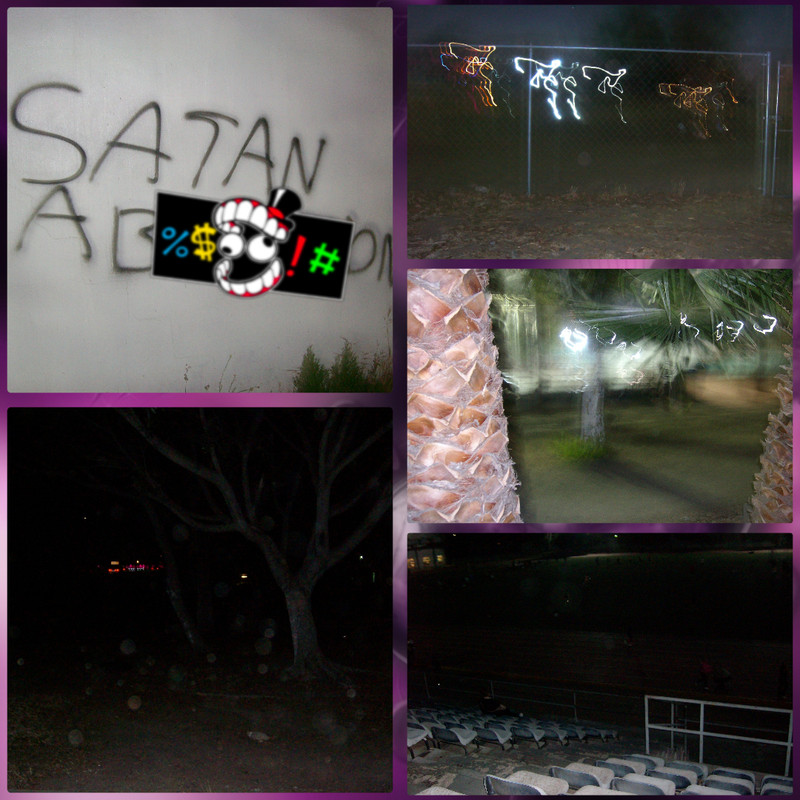 collage4