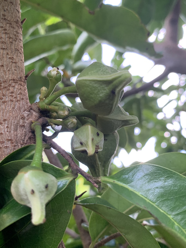 20626824-4433-4DC3-9BA1-9F6CA39FB5B4