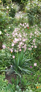 IMG_20230527_082505