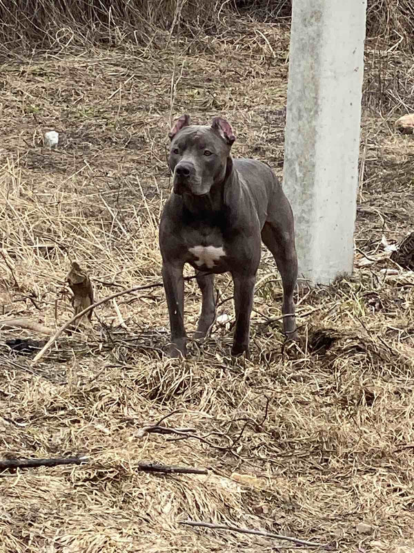 AED5FE4B-425E-49A2-9F1A-AC906BAED201