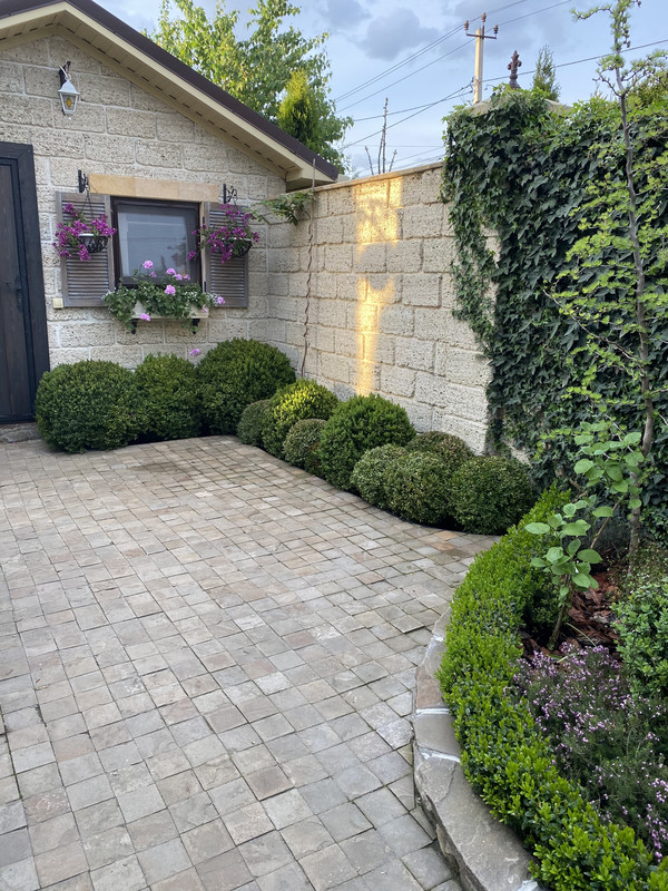 011C969E-4A43-41C6-8E50-0B50259AFE44