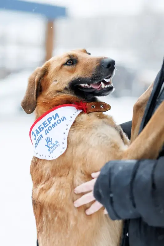 P5NKIRkVYQJhYy7AHKCtnDRPUcORG-_AjQcl_1uTgGzrniqf44i4MrsTxEzukyWnAOirM7SKSeiBxp9jZevi6g==?uid=0&filen