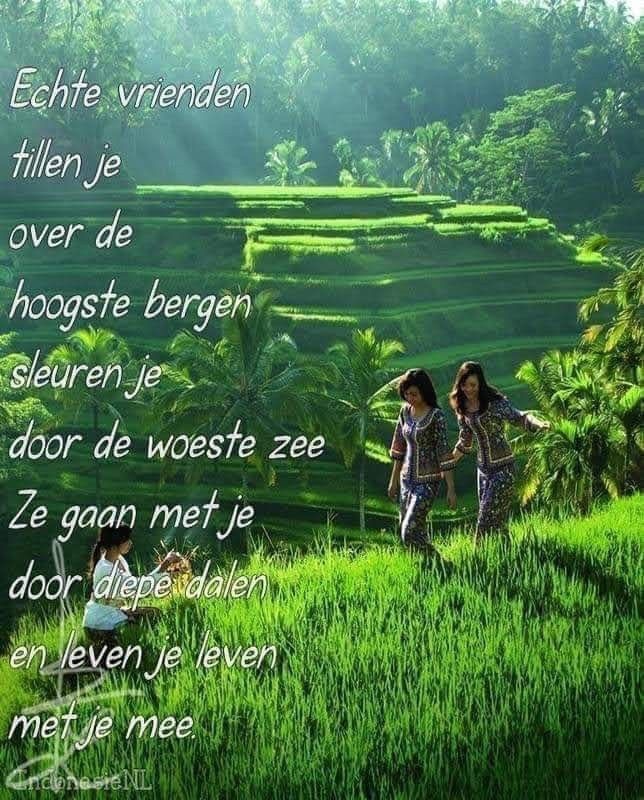 463-FB1-BE-BBFC-4908-A818-B123-DF810-CEF