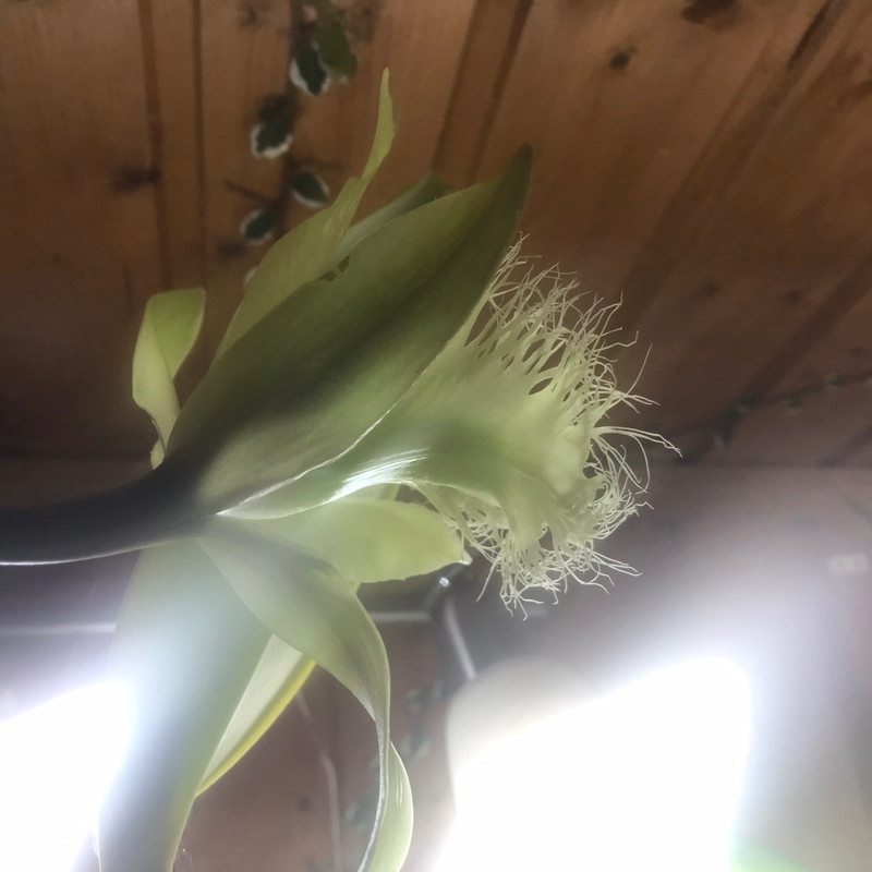 DFE20D37-D1B1-4326-A0F0-638923E59756