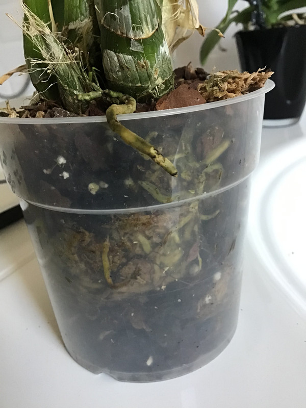 F43FCA84-9A38-4FD2-800F-9E4F36B48F76