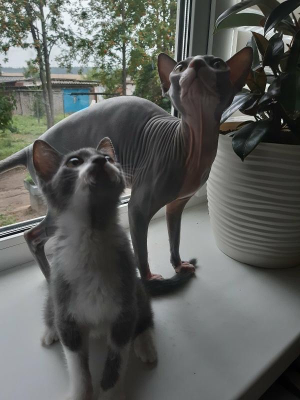 88E796C0-3A2F-416B-91D4-0EB7C62123A1