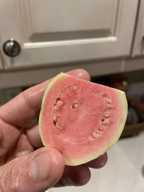 11FF14D0-D04A-4D86-AAE1-1BA63C70958D