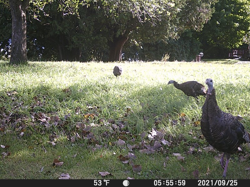 3EDD36A1-FB06-47C3-ABBC-533A4B2E831D