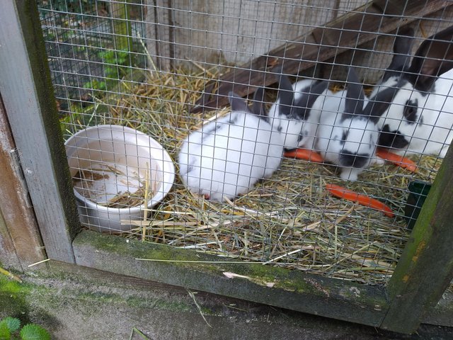 165345558-204440998142706-1425080034326774459-o