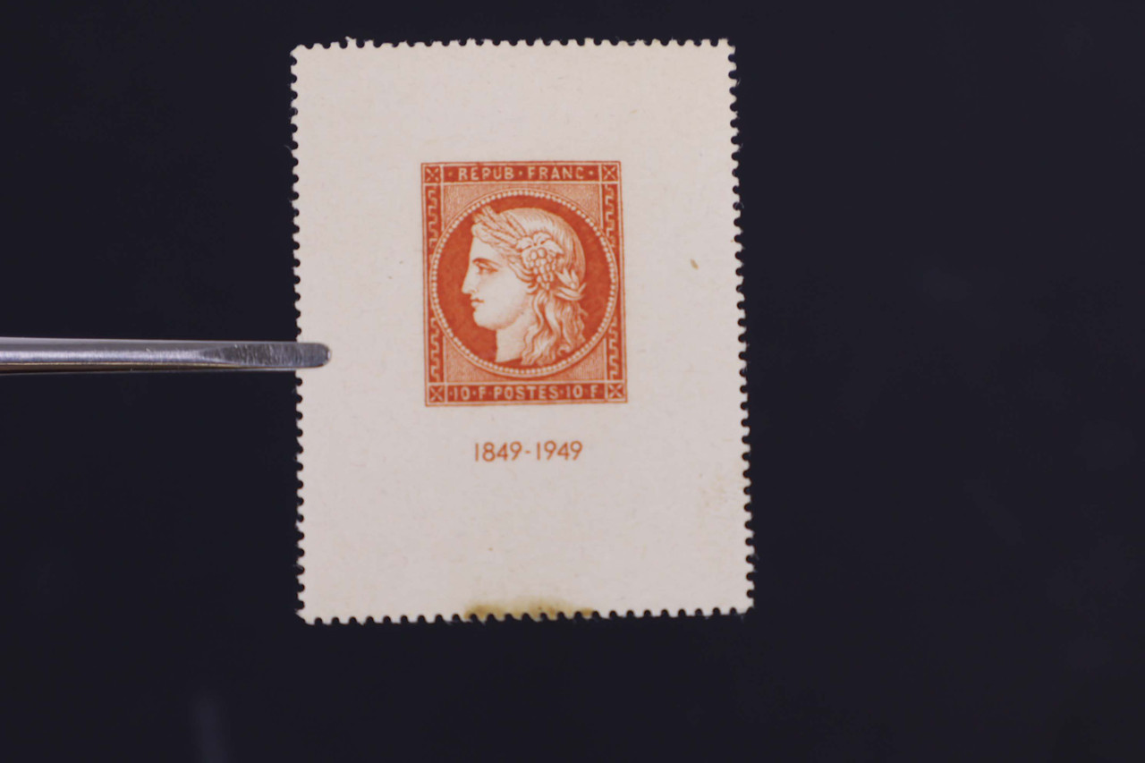 IMG 7107