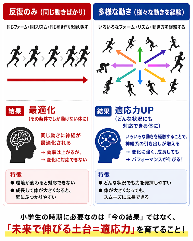 反復練習と多様性の違い