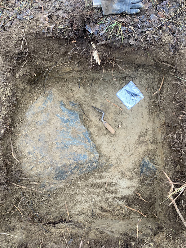 09668556-6841-4FEA-8355-8575F21F280E