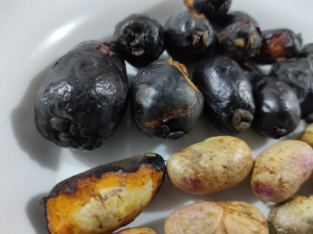 WhatsApp Image 2021-07-16 at 01.12.46 (2)