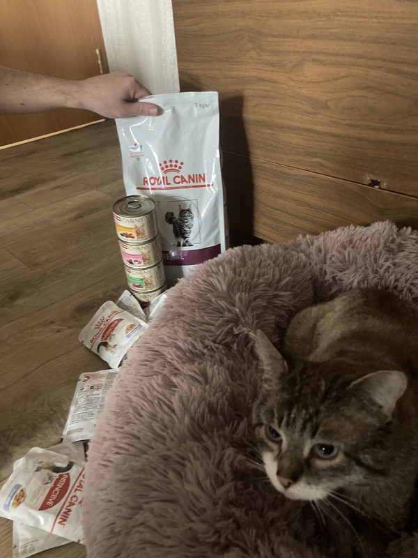 306FB15D-6F14-41FD-A967-C8ABB31933AD