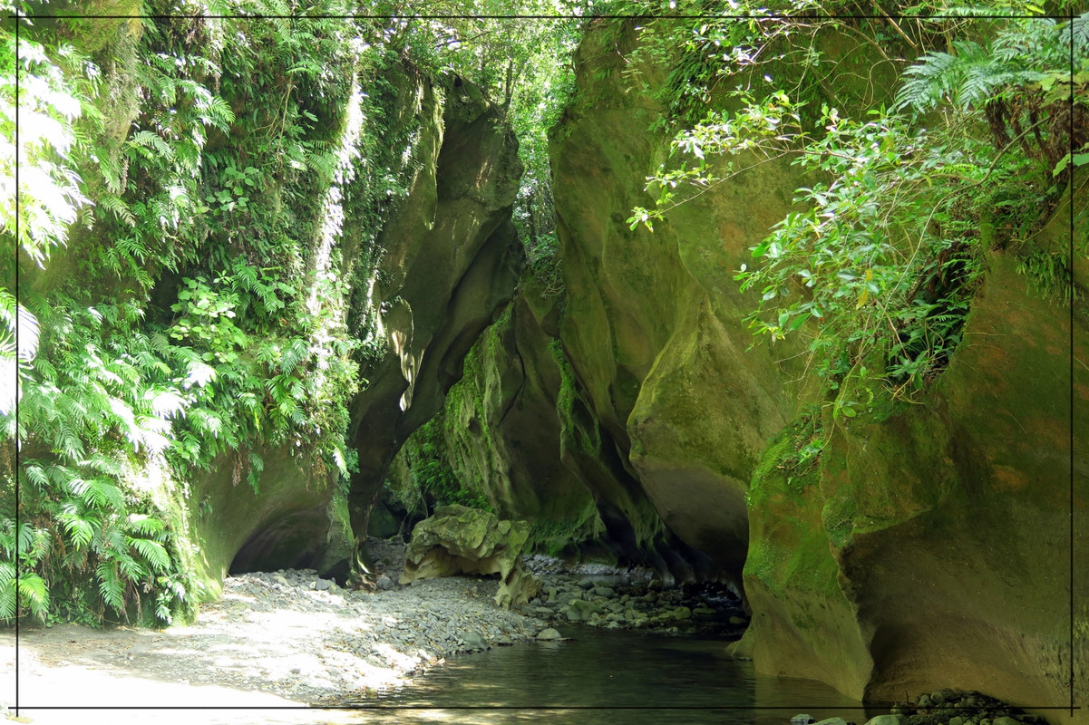 Wairarapa, esa gran desconocida - Escapadas y rutas por la Nueva Zelanda menos conocida (25)
