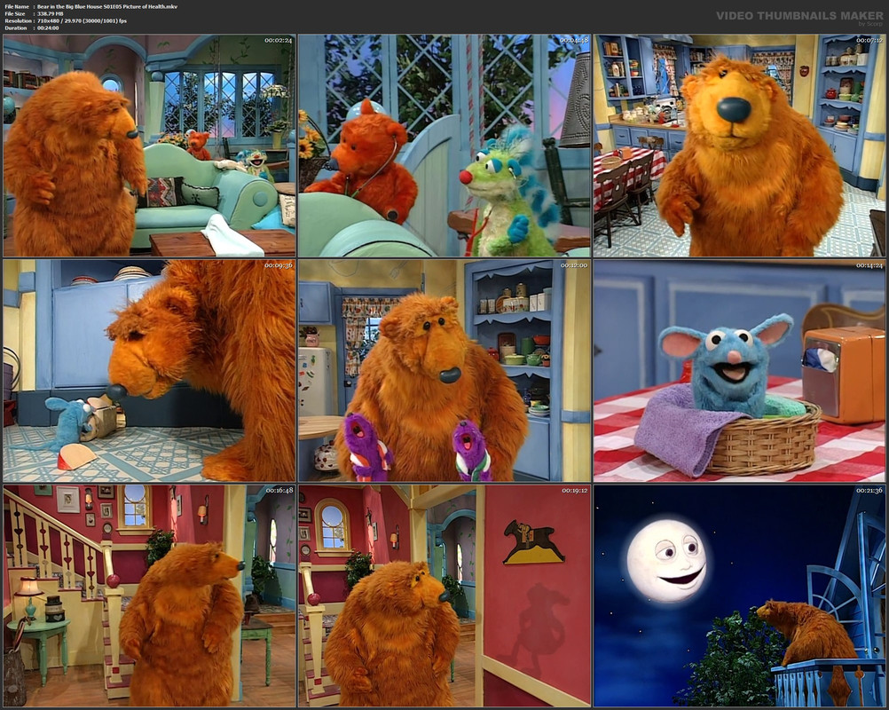Bear in the Big Blue House S01E05 Picture of Health.mkv