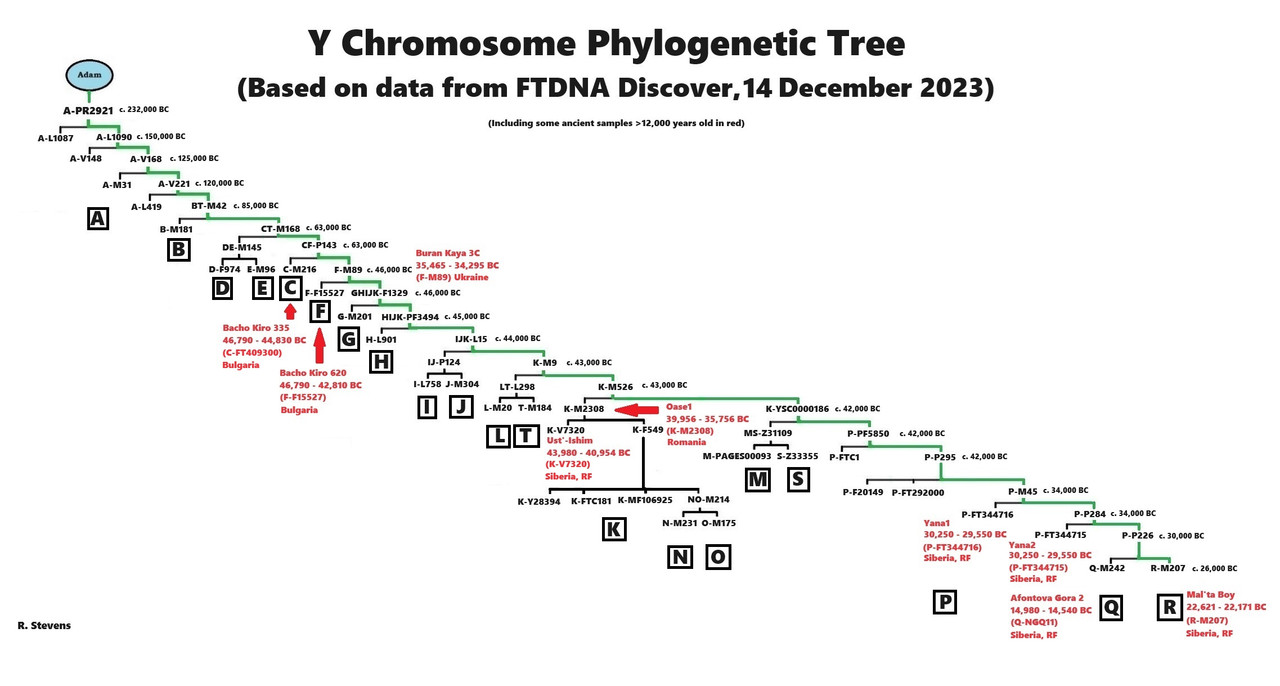 [Image: Y-DNA-Phylogenetic-Tree-w-dates-ancient-...s-2023.jpg]