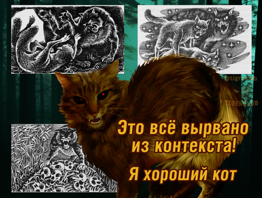 IMG-0818.png