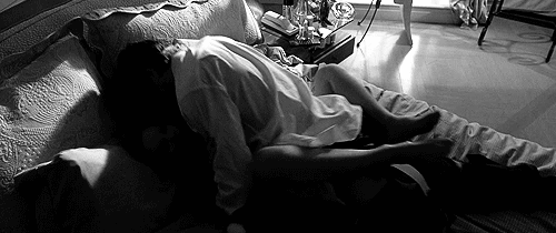 31442.gif