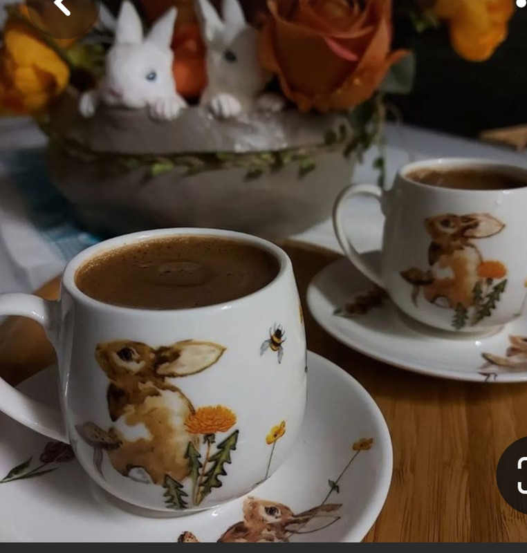 Screenshot_20230317_000353_Pinterest