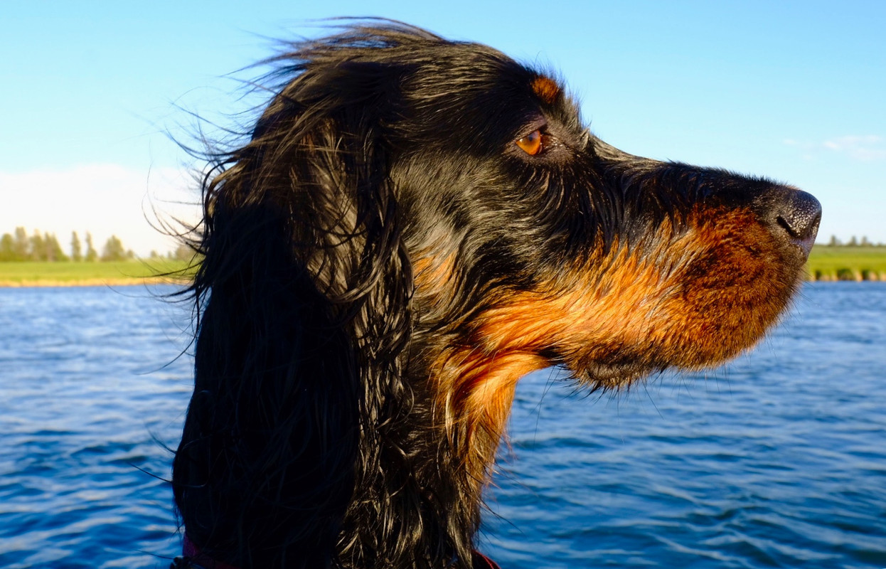 DFBA671C-0307-43F2-8CDD-0BD8317B05EC-12563-000002AC5E094399