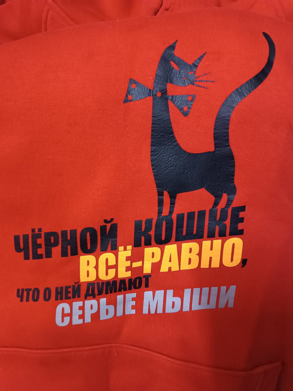 Чёрной кошке всё равно