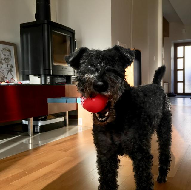 34-A7-E5-AE-F92-A-416-A-8770-FC77-BFCB99