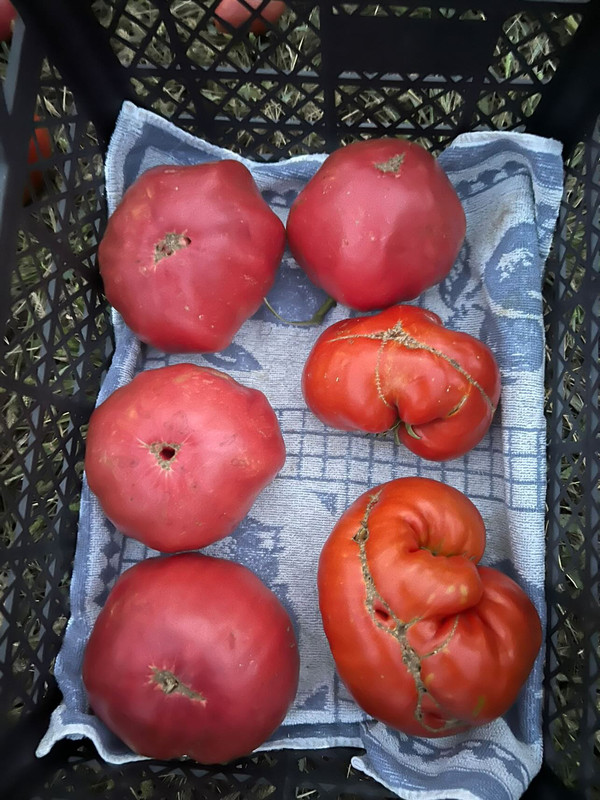 9653FD6B-EDC3-4F03-A2FD-B8B2B39BA29D