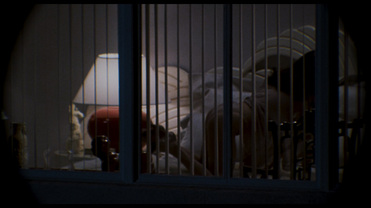 (Vietsub) Body Double 1984 2160p MA WEB-DL DTS-HD MA 5.1 HDR H265-FLUX.mkv_snapshot_00.22.53.372