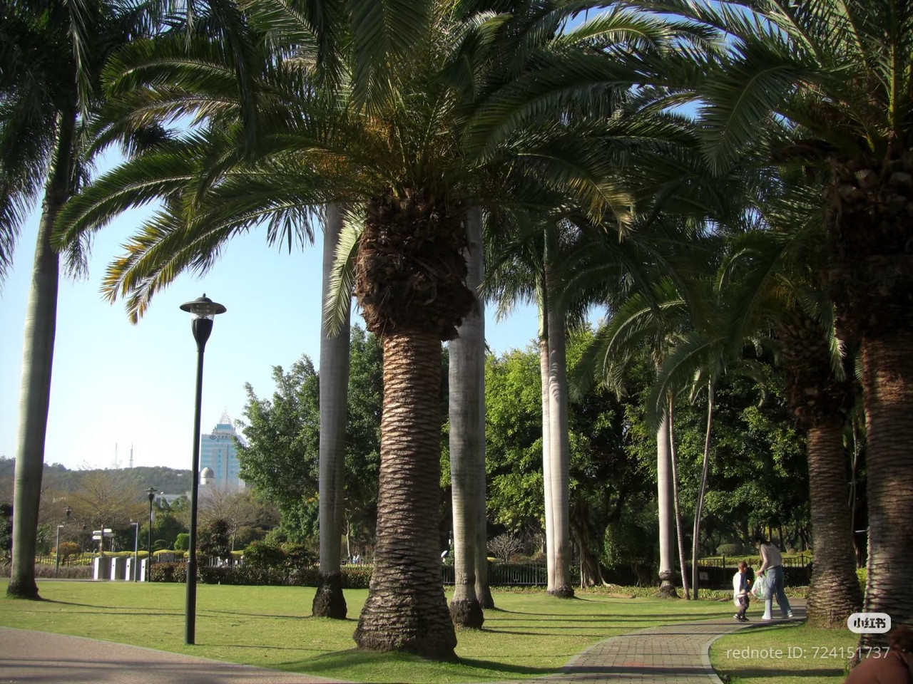 photo 8 2025 12 17 21 11 57