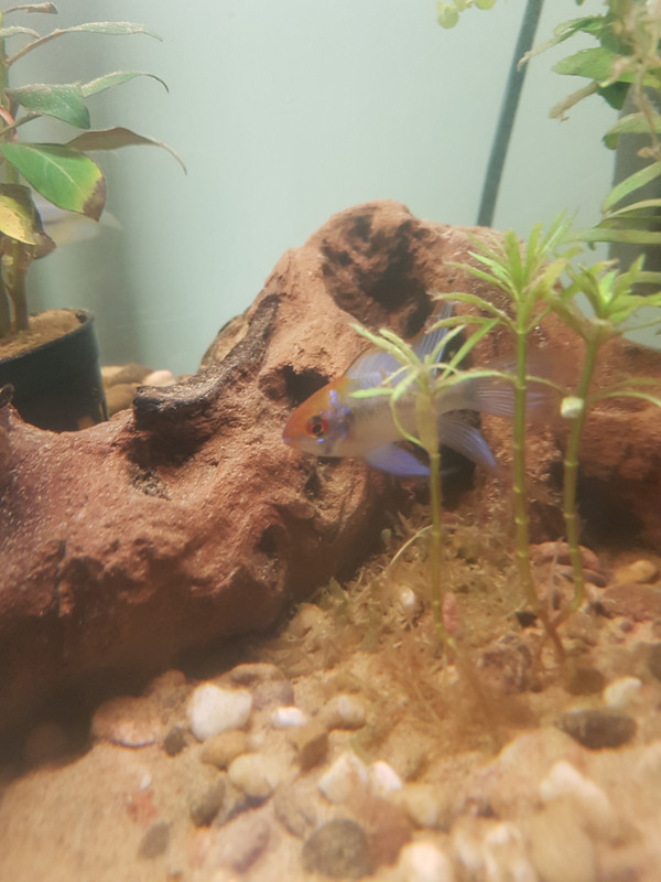 15351205657322008415949677951742