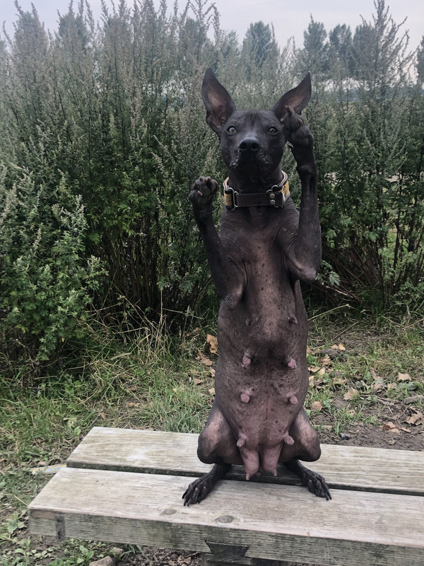 F3C5032D-D198-4684-B9A7-AD29CDC0FA54