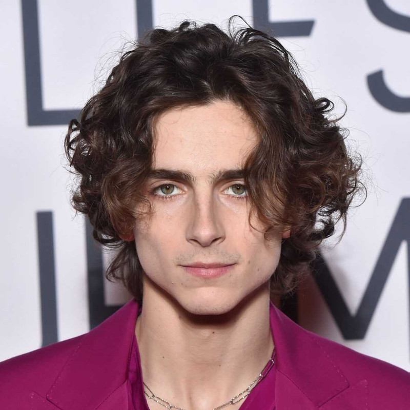 Timothee-Chalamet-eboy-menzpov.jpg