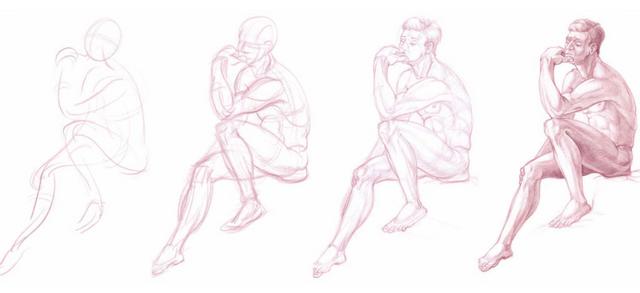 Beginner Anatomy Beginner Anatomy