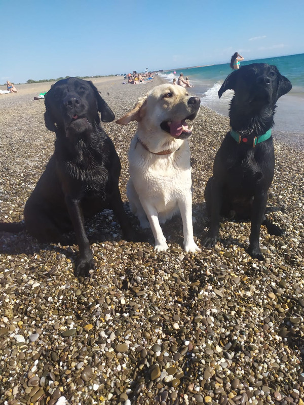 WhatsApp Image 2020-07-23 at 19.48.17(2)