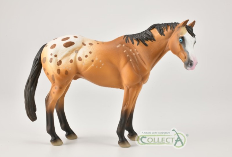 1 - 2021 Horse Figure of the Year, CollectA Mongolian! C-appa