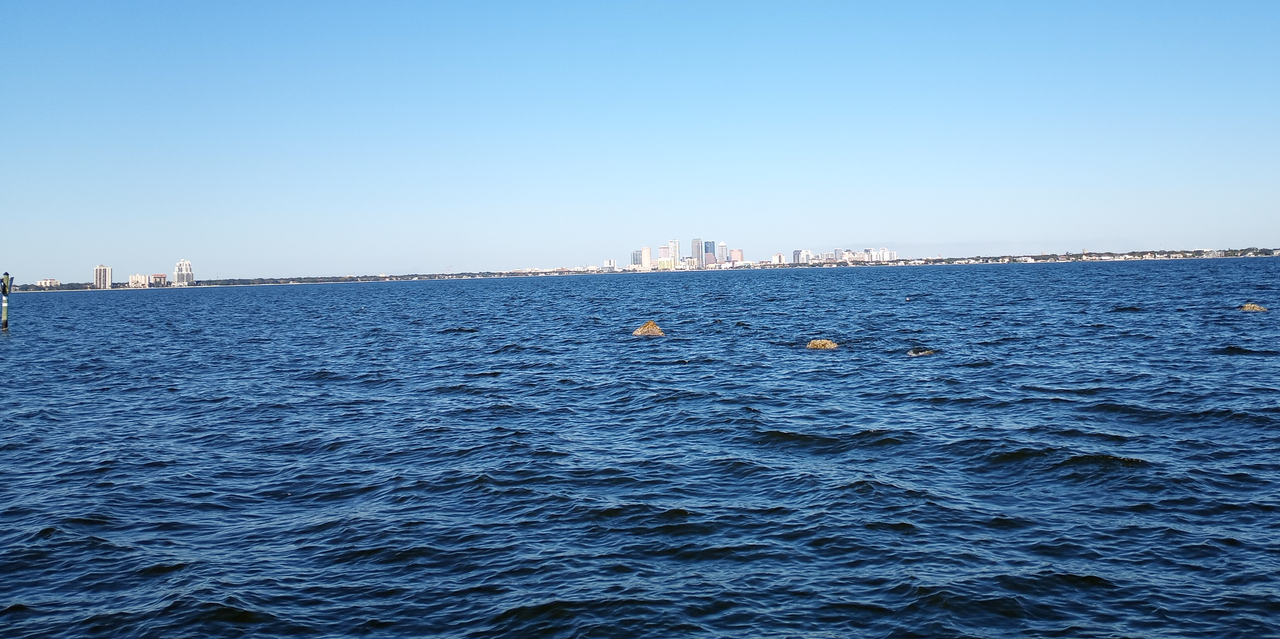 [Image: Ballast-Point-Park-Tampa-FL2.png]