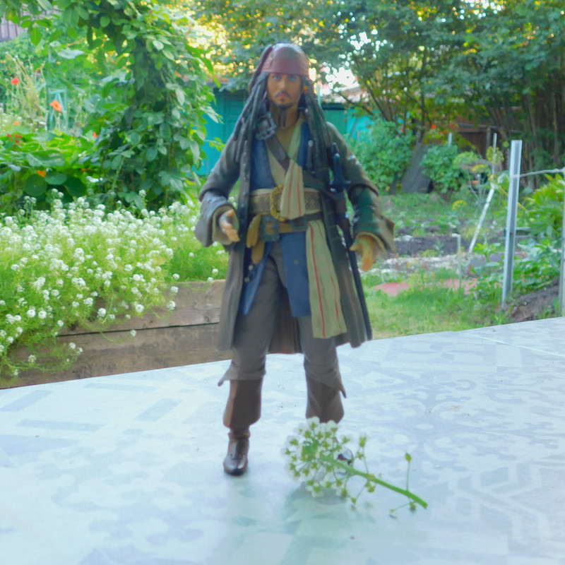 Дачно-Харлинский июнь-июль 2024 425