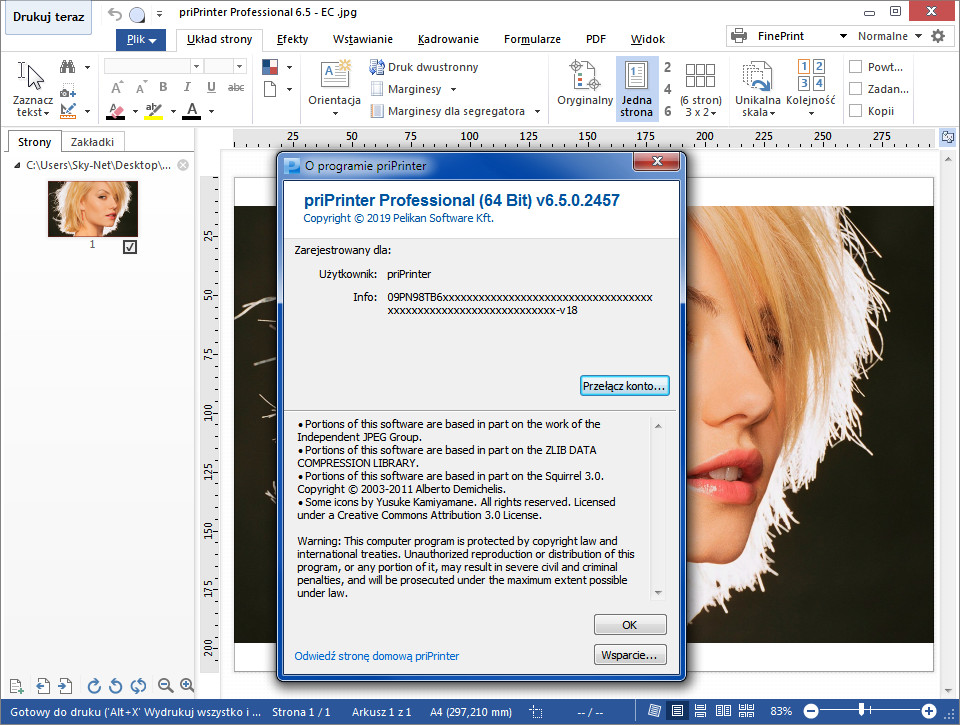 Serato dj 1.9 1 skin for virtual dj